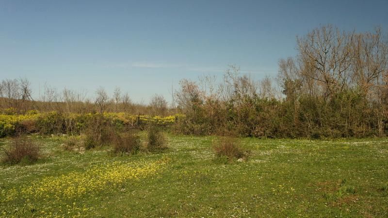 Земля в Улцине, Черногория, 20 290 м² - фото 3