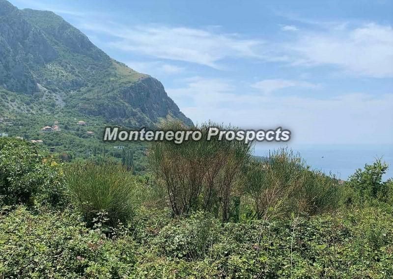 Земля в Близикуче, Черногория, 5 343 м² - фото 3