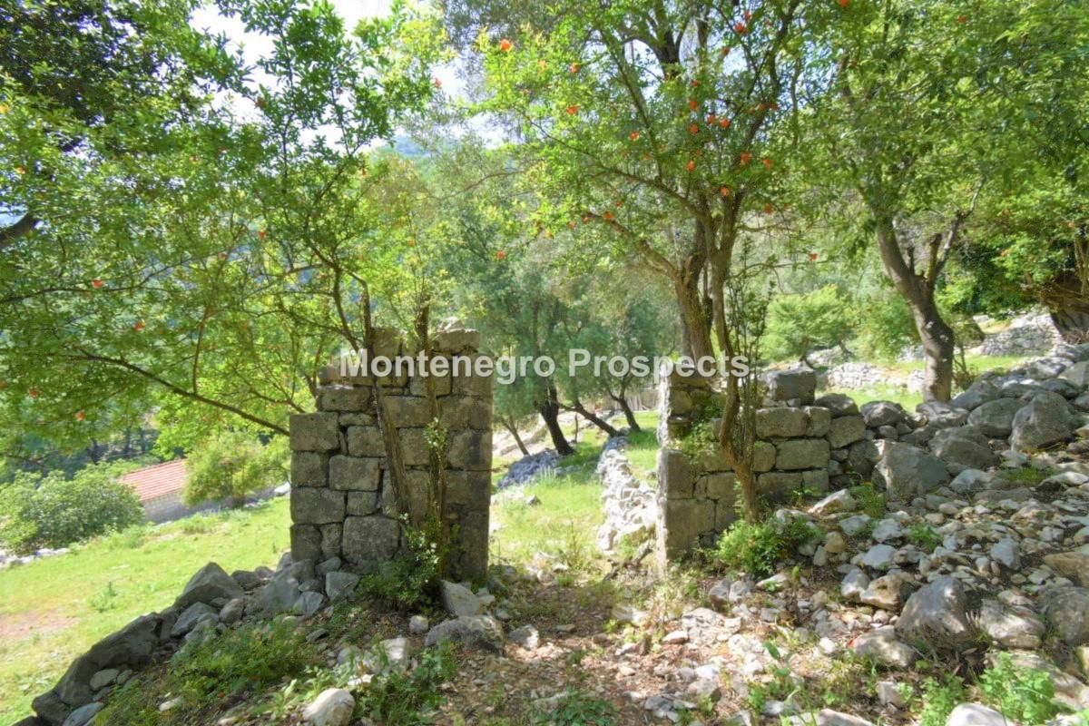 Земля в Рисане, Черногория, 5 924 м² - фото 3