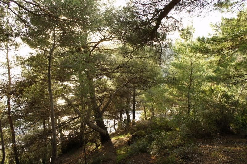 Земля в Сутоморе, Черногория, 1 727 м² - фото 3