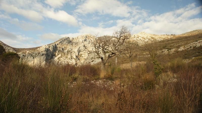 Земля в Баре, Черногория, 5 338 м² - фото 3