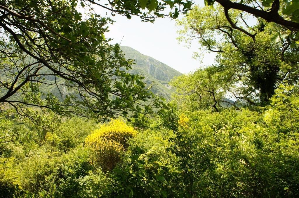 Земля в Баре, Черногория, 4 160 м² - фото 3