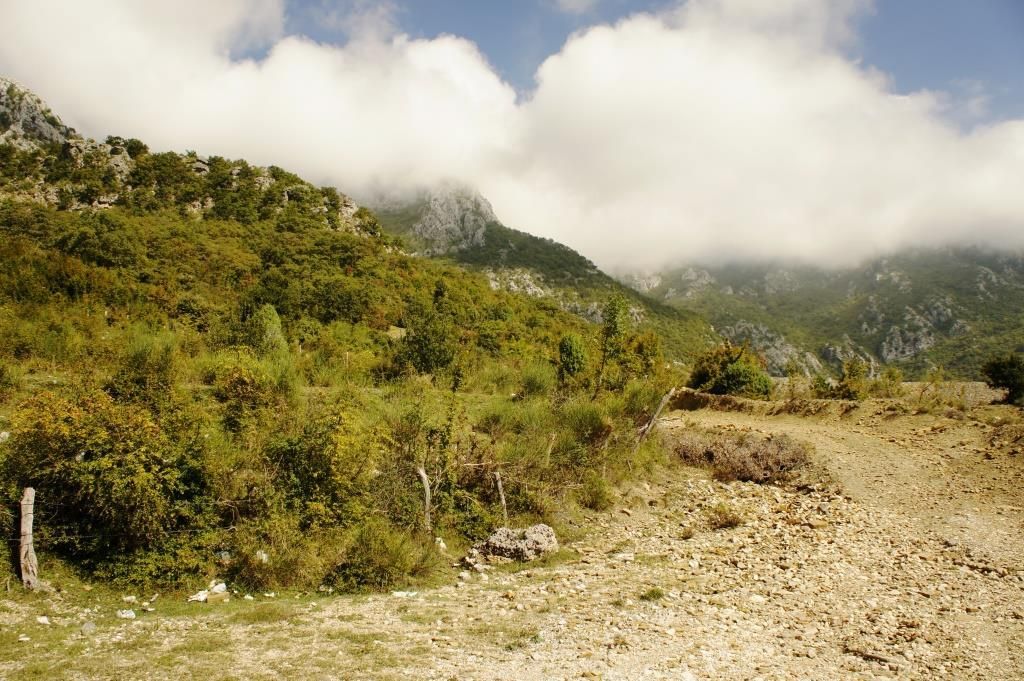 Земля в Баре, Черногория, 6 624 м² - фото 3