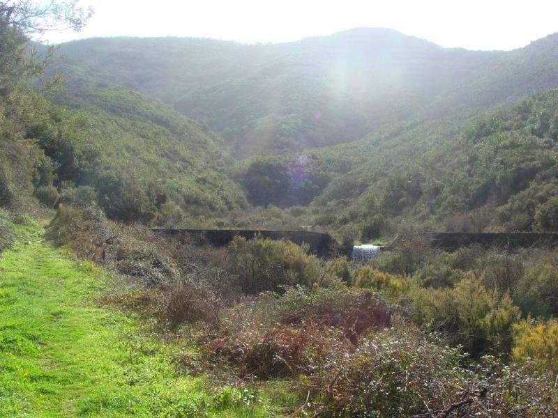 Земля в Херцег-Нови, Черногория, 17 000 м² - фото 3