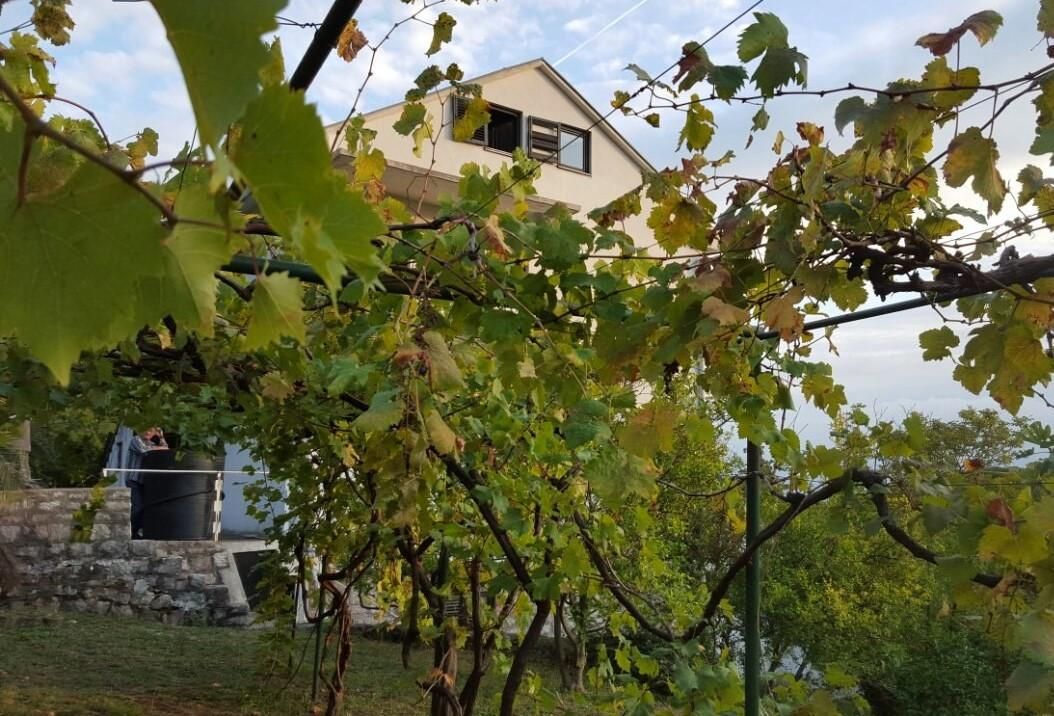 Офис в Петроваце, Черногория, 297 м² - фото 4