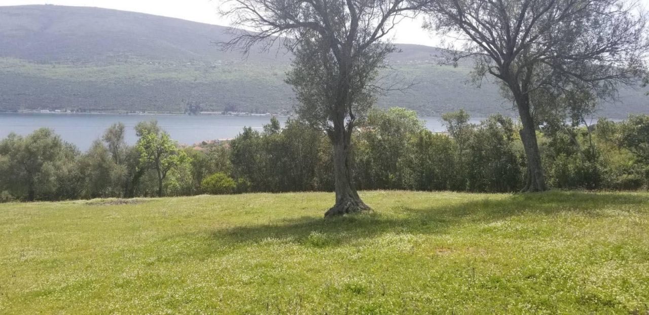 Земля в Дженовичах, Черногория, 7 560 м² - фото 4