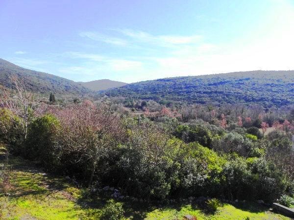 Земля в Бигово, Черногория, 4 183 м² - фото 3