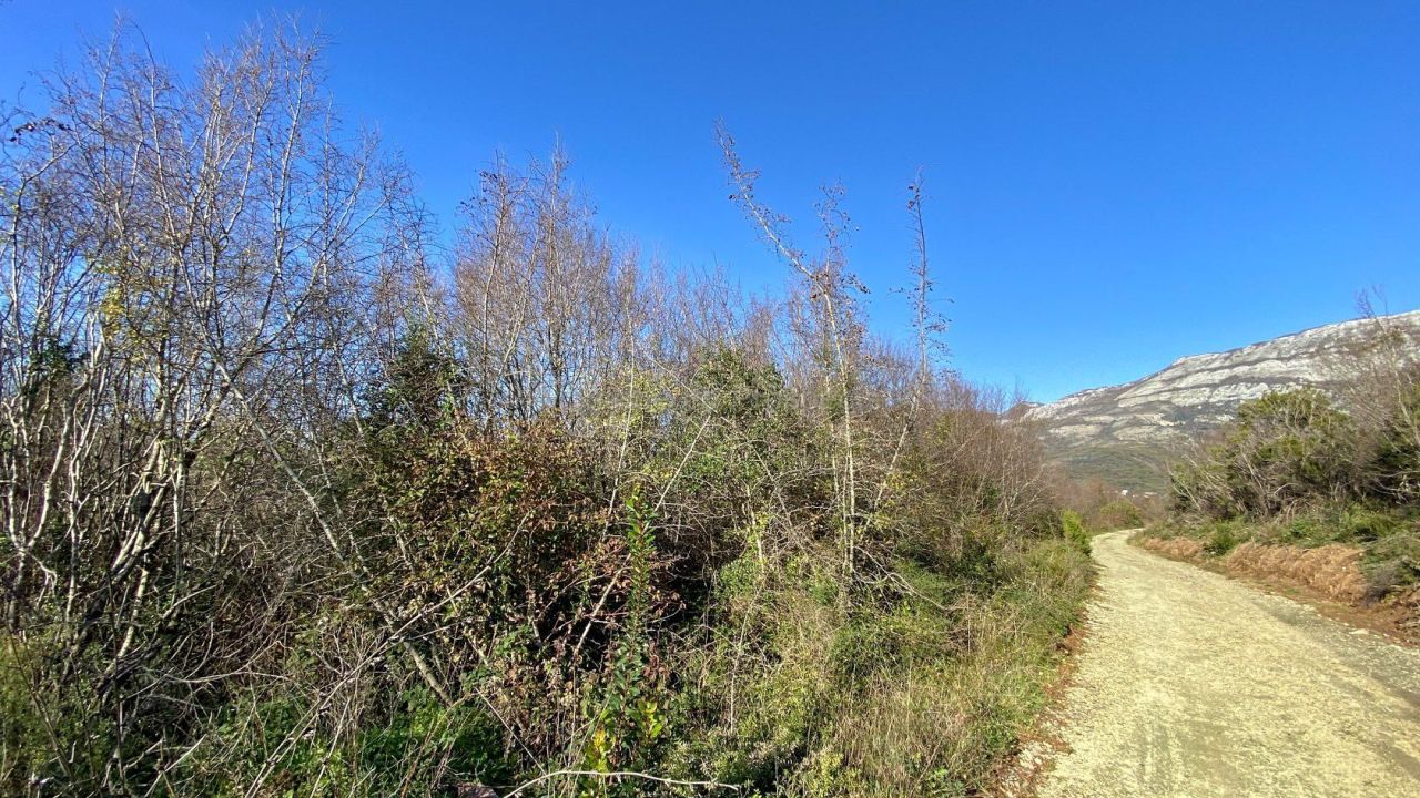 Земля в Булярице, Черногория, 9 477 м² - фото 4