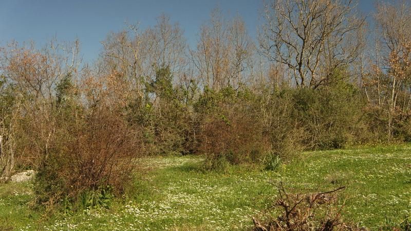 Земля в Улцине, Черногория, 20 290 м² - фото 4