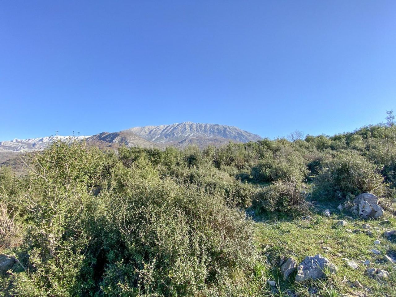 Земля в Добра Воде, Черногория, 53 833 м² - фото 4