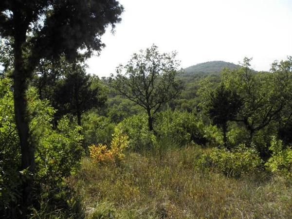 Земля в Режевичах, Черногория, 975 м² - фото 4