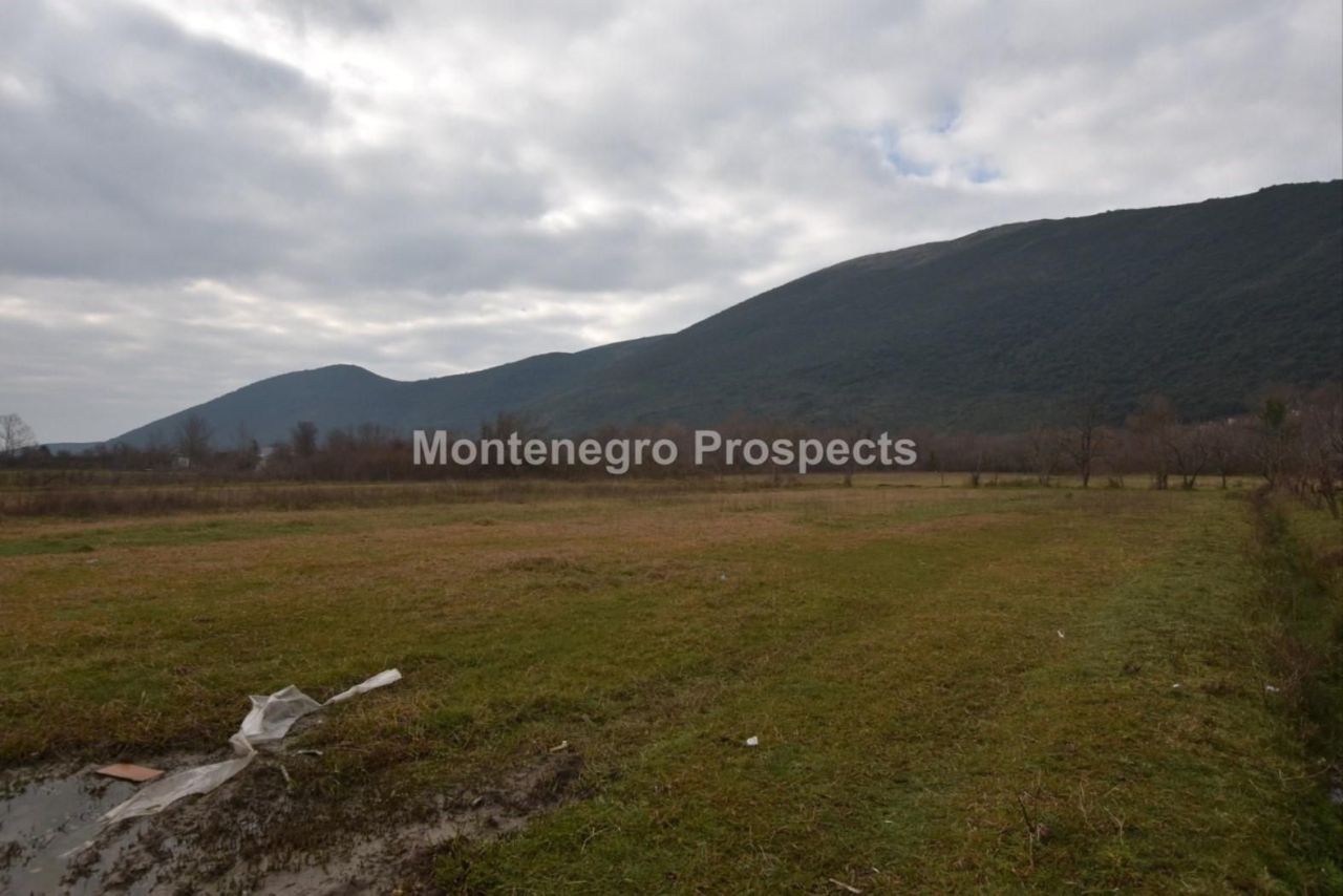 Земля в Ластве, Черногория, 7 658 м² - фото 4