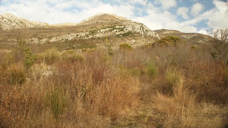 Земля в Баре, Черногория, 5 338 м² - фото 4