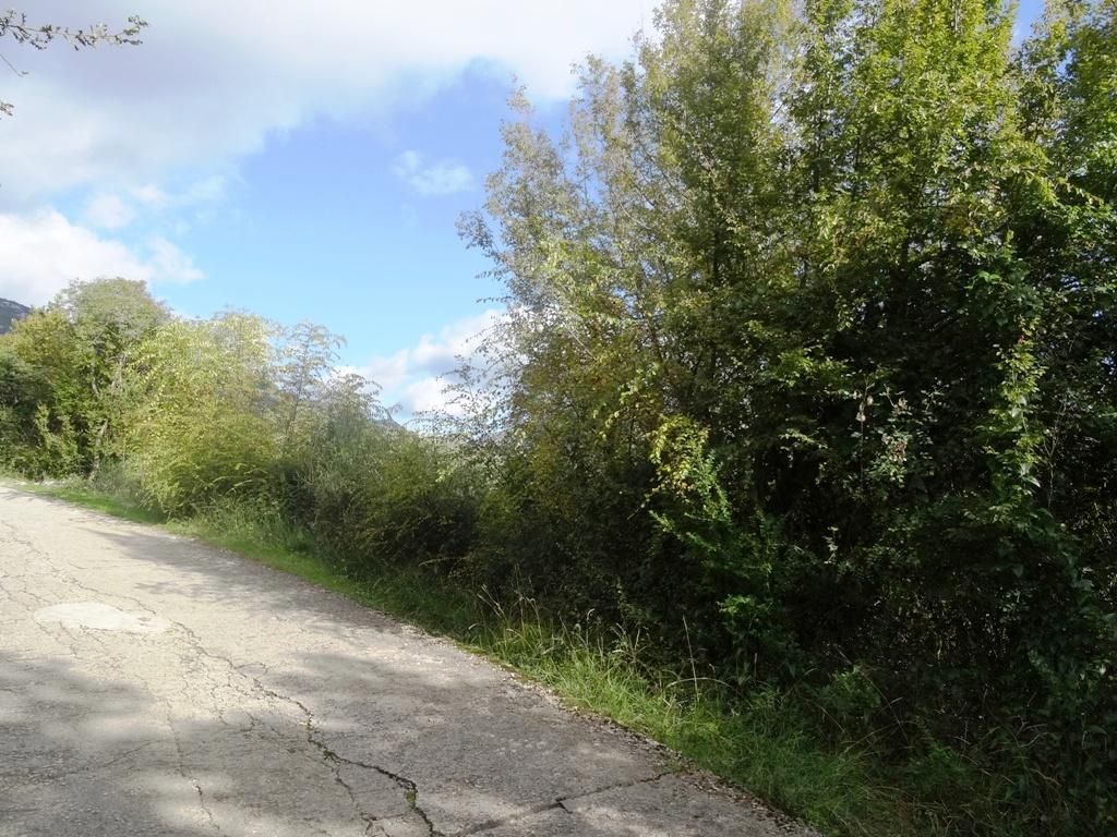 Земля в Херцег-Нови, Черногория, 24 585 м² - фото 4