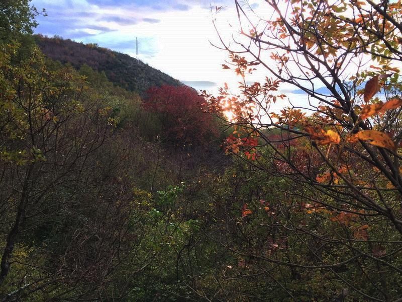 Земля в Пржно, Черногория, 16 974 м² - фото 4