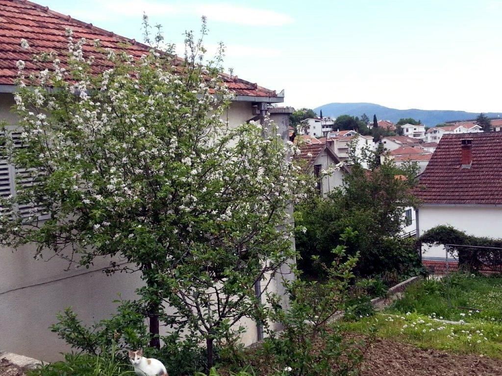 Земля в Херцег-Нови, Черногория, 533 м² - фото 3