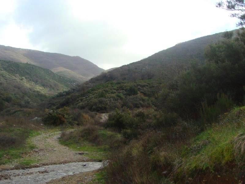 Земля в Херцег-Нови, Черногория, 17 000 м² - фото 4