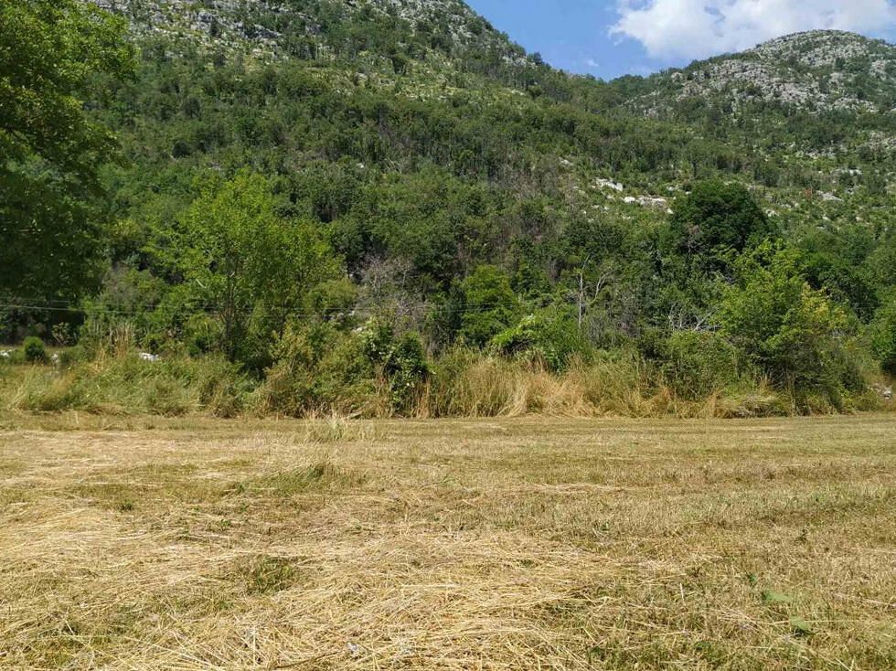 Дом в Цетине, Черногория, 64 м² - фото 5