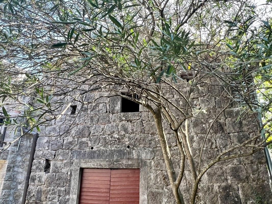 Квартира на полуострове Луштица, Черногория, 44 м² - фото 5