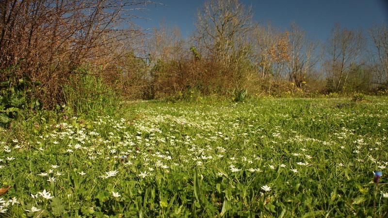 Земля в Улцине, Черногория, 20 290 м² - фото 5