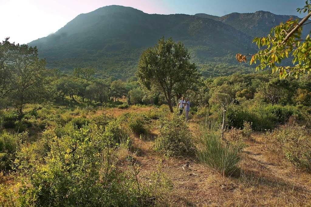 Земля в Баре, Черногория, 1 228 м² - фото 5