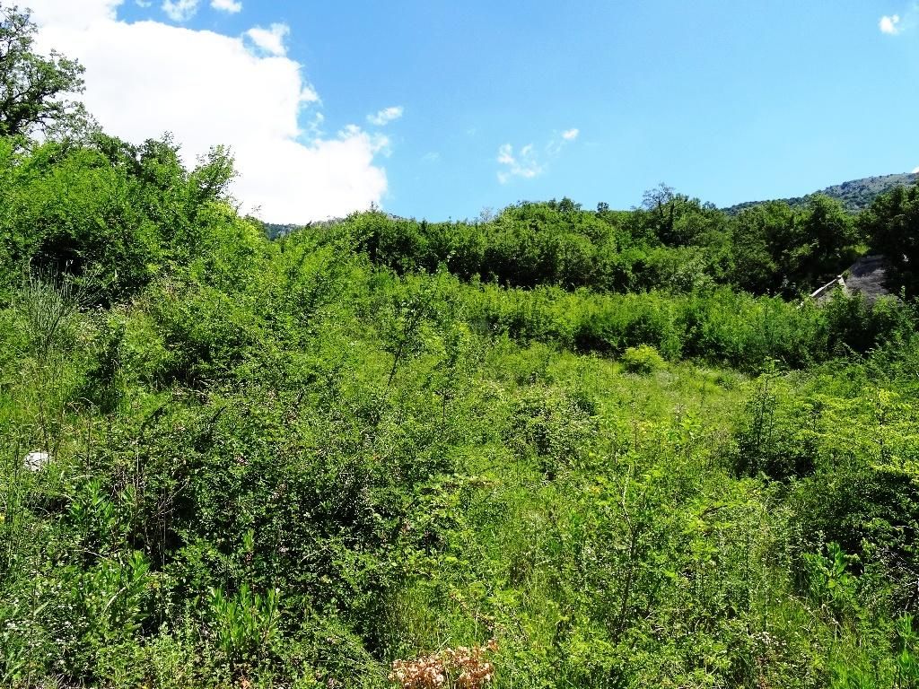 Земля в Будве, Черногория, 5 281 м² - фото 5