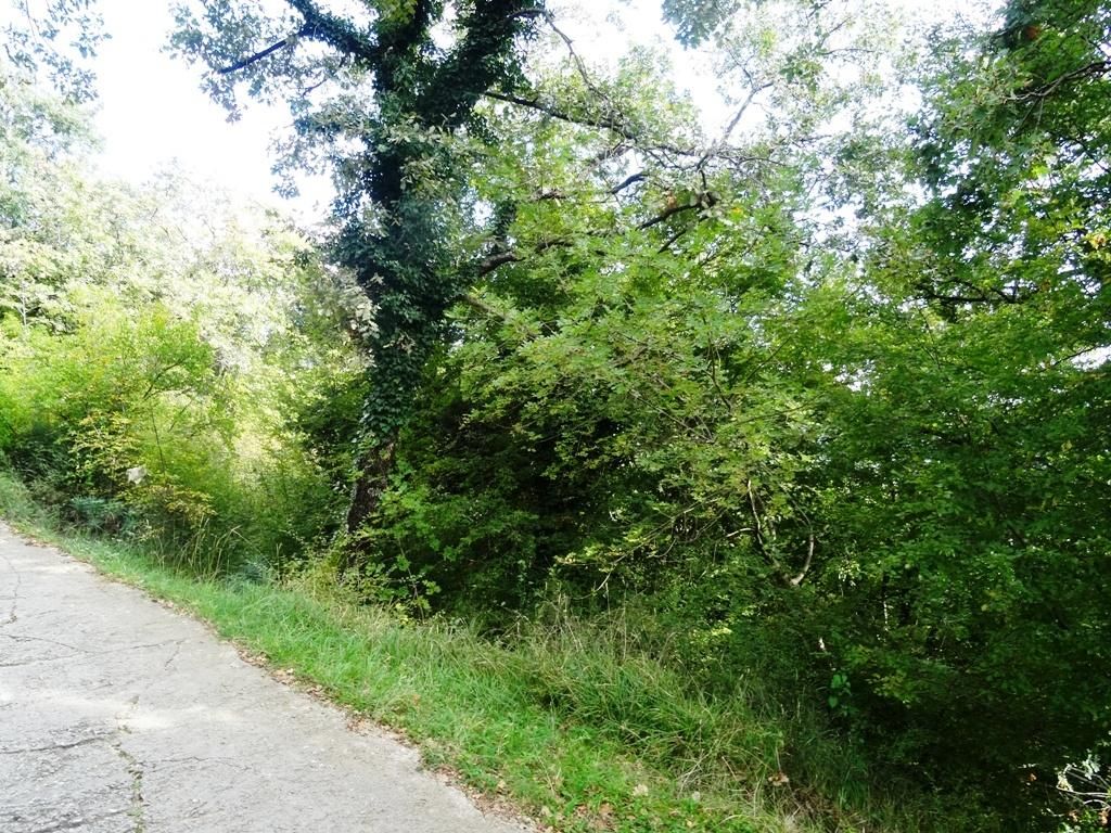 Земля в Херцег-Нови, Черногория, 24 585 м² - фото 5