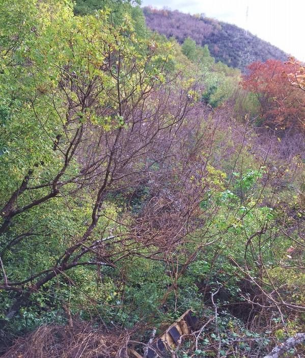 Земля в Пржно, Черногория, 16 974 м² - фото 5