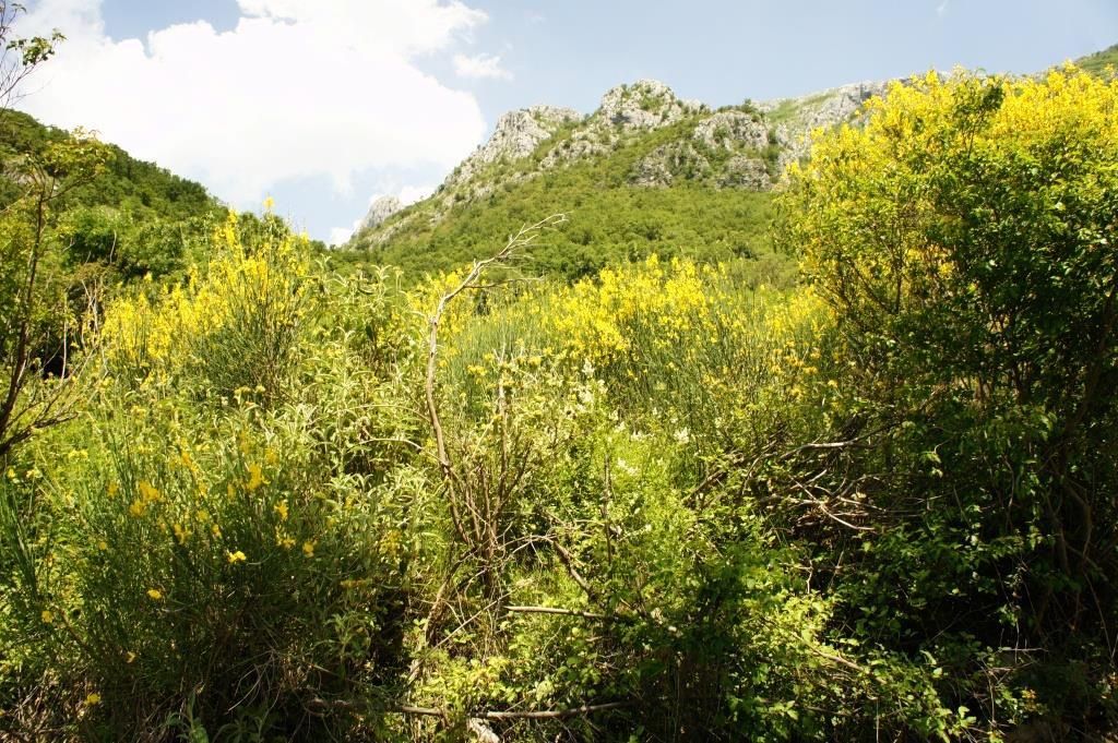 Земля в Баре, Черногория, 4 160 м² - фото 5