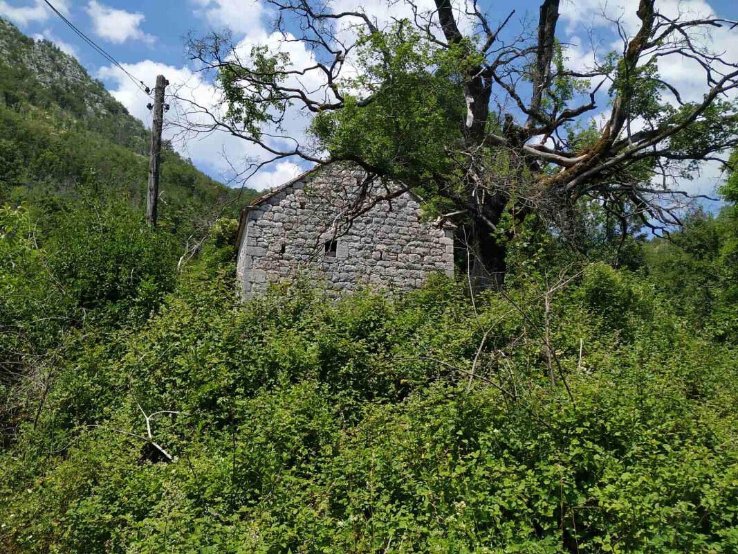 Дом в Цетине, Черногория, 64 м² - фото 6