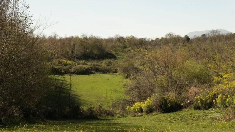 Земля в Улцине, Черногория, 20 290 м² - фото 6