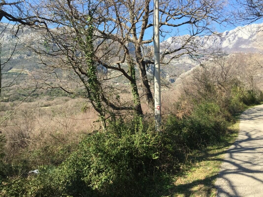 Земля в Баре, Черногория, 1 228 м² - фото 6