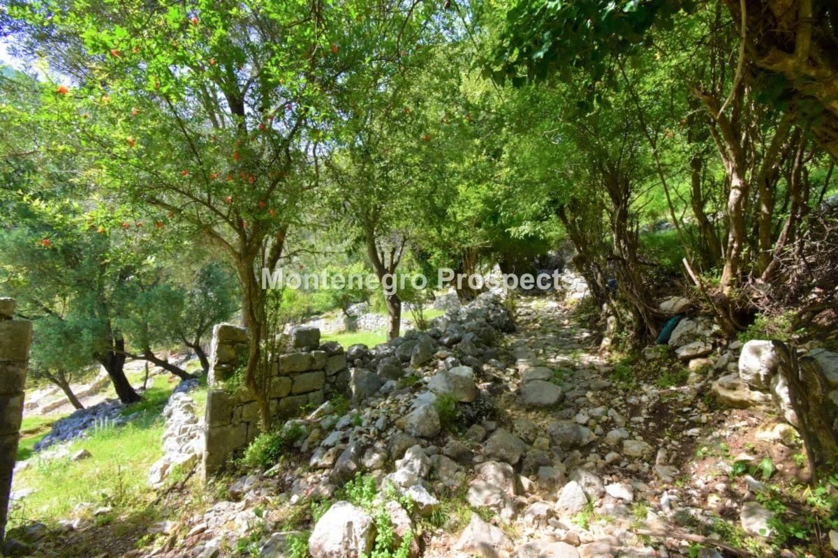 Земля в Рисане, Черногория, 5 924 м² - фото 6