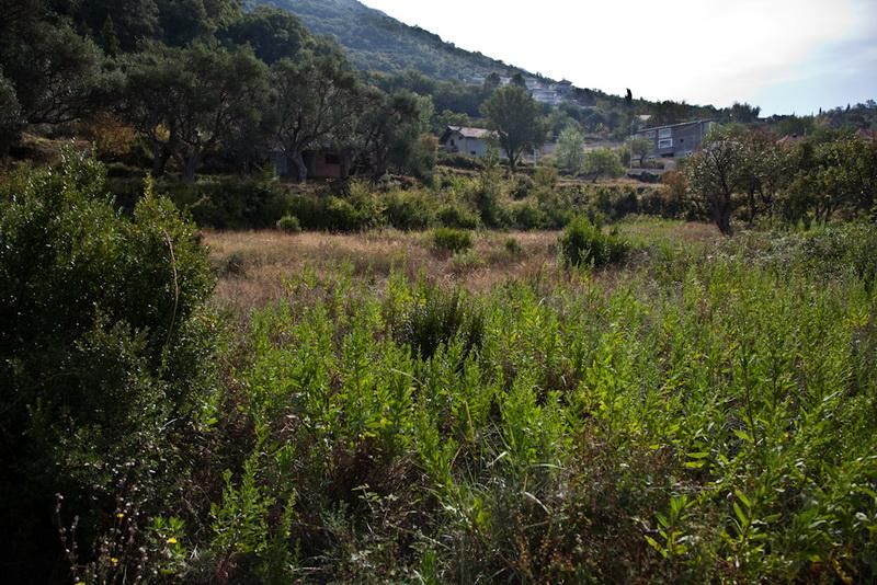 Земля в Баре, Черногория, 8 694 м² - фото 6