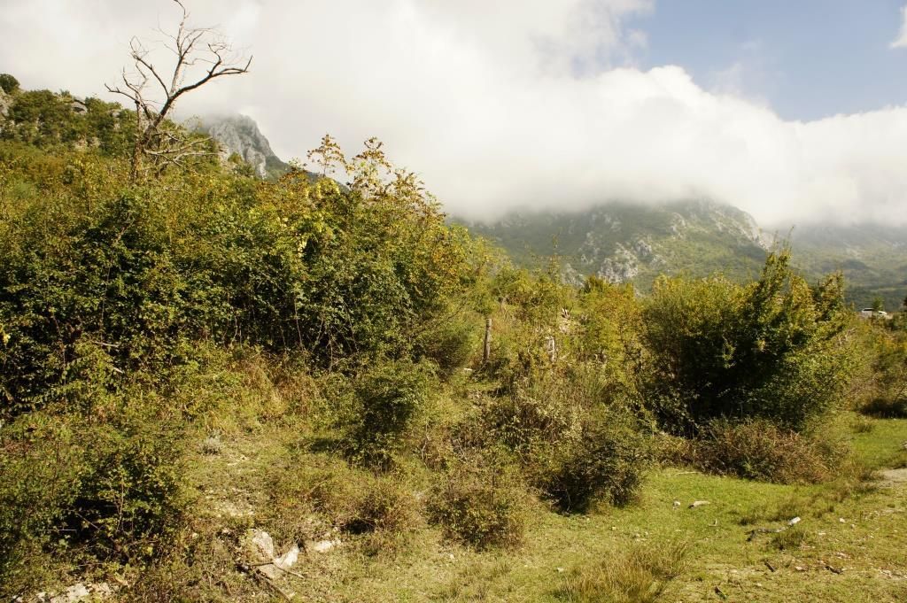 Земля в Баре, Черногория, 6 624 м² - фото 6