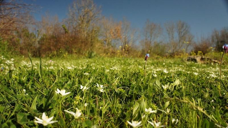 Земля в Улцине, Черногория, 20 290 м² - фото 7