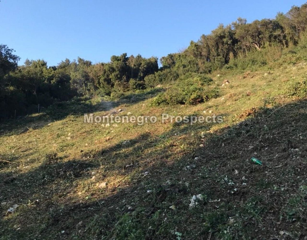Земля в Утехе, Черногория, 1 594 м² - фото 7