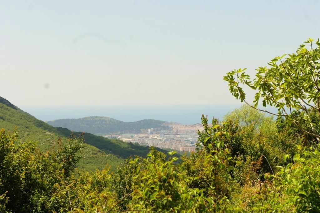 Земля в Баре, Черногория, 4 160 м² - фото 7