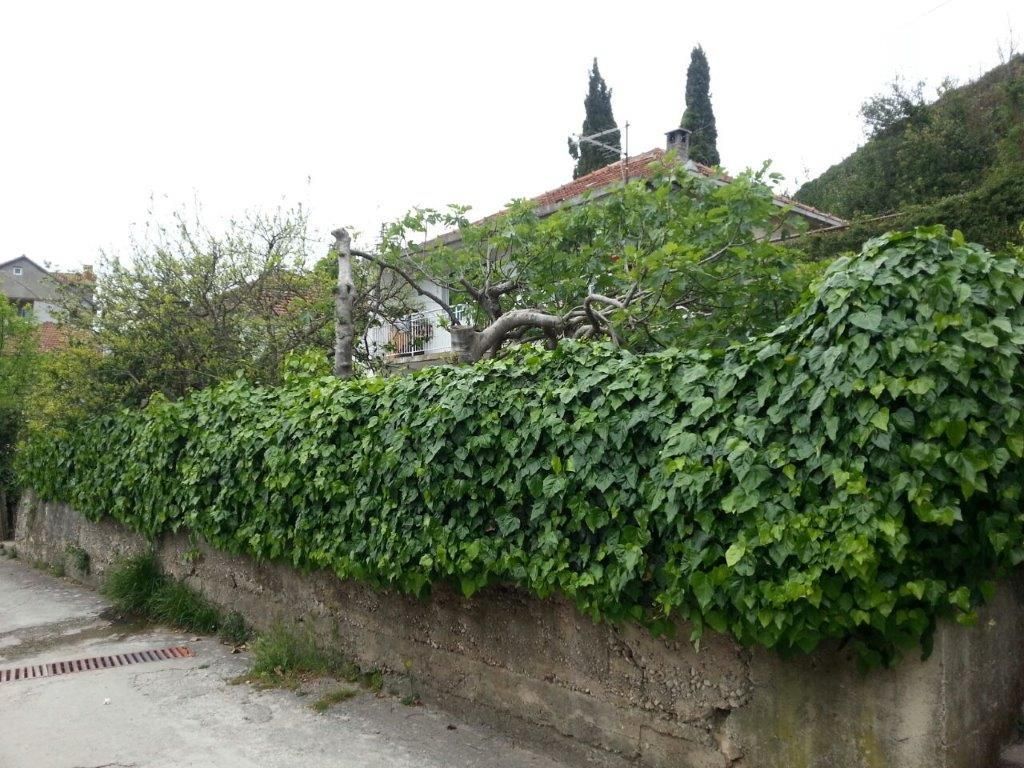 Земля в Херцег-Нови, Черногория, 533 м² - фото 6