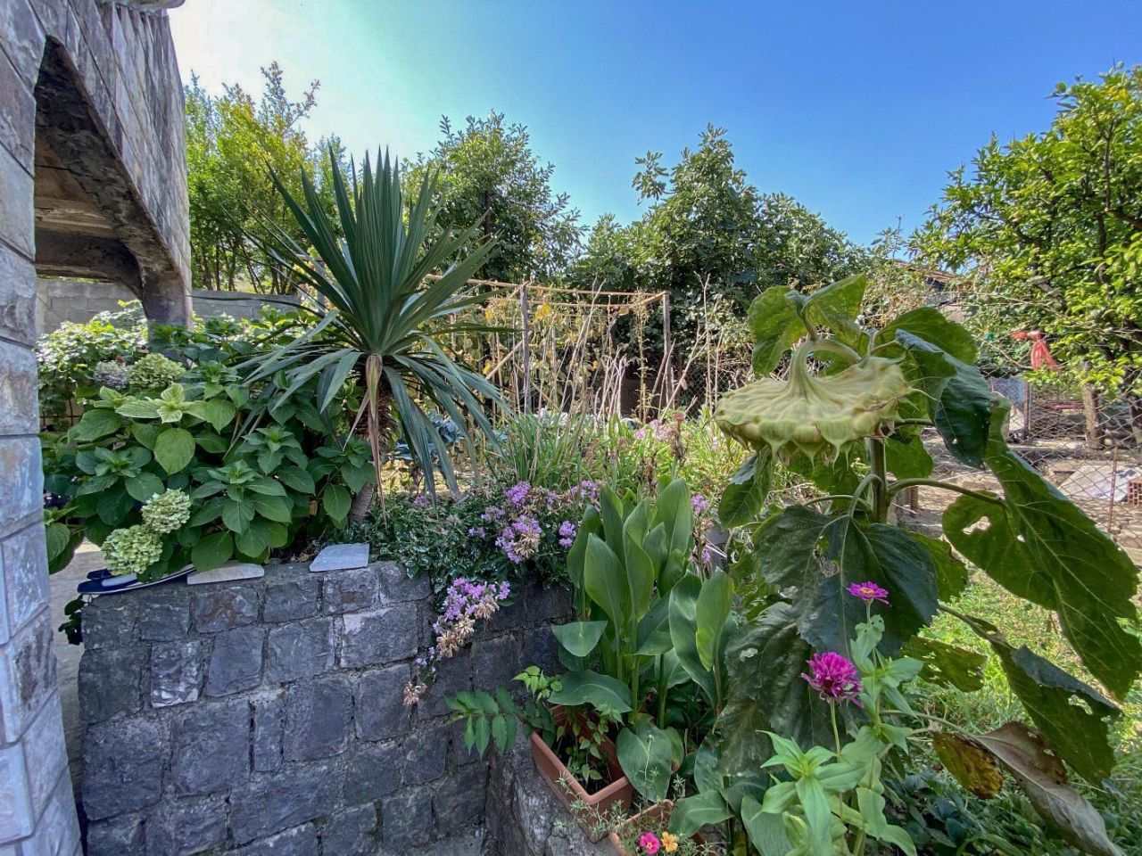 Дом в Баре, Черногория, 264 м² - фото 8