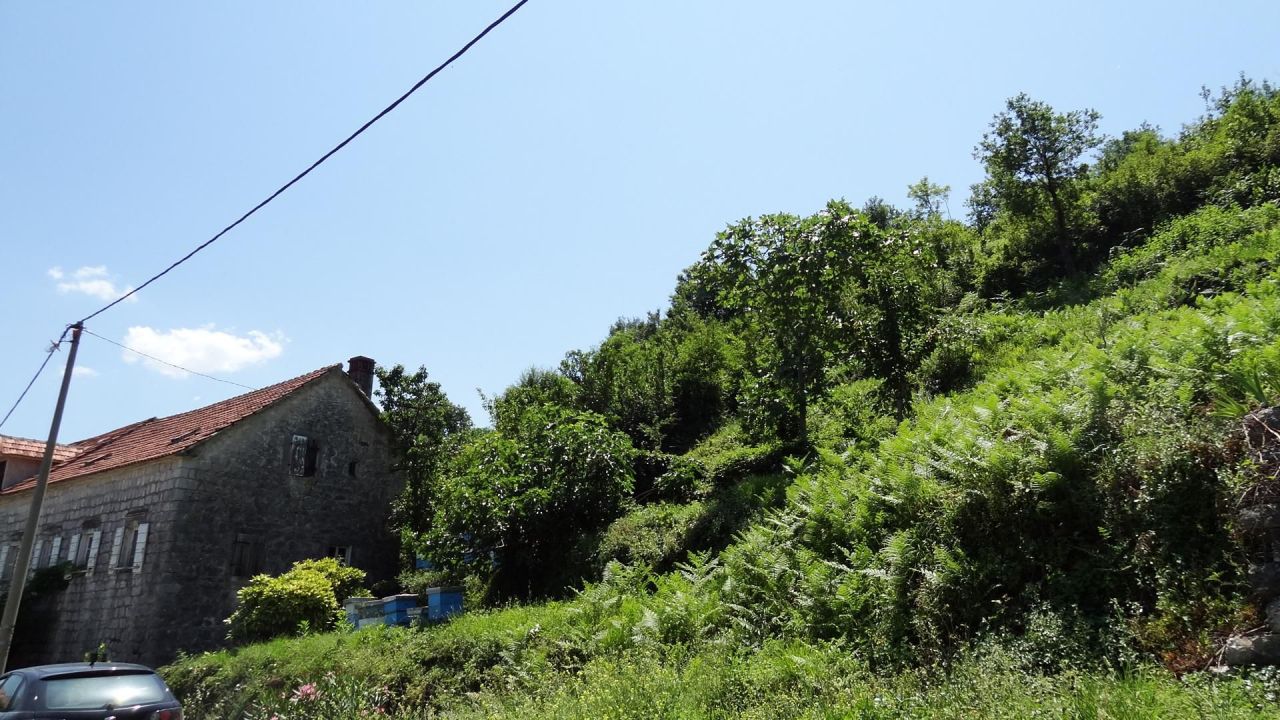 Земля в Костанице, Черногория, 12 443 м² - фото 3