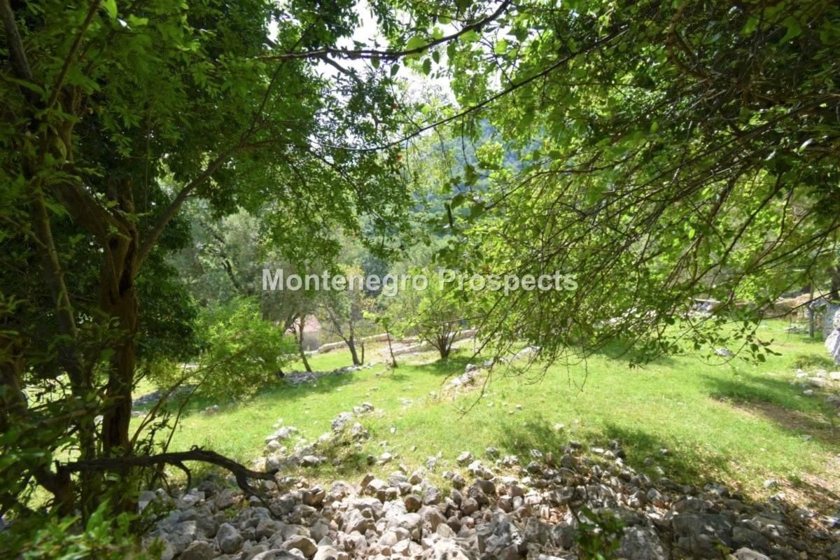 Земля в Рисане, Черногория, 5 924 м² - фото 8