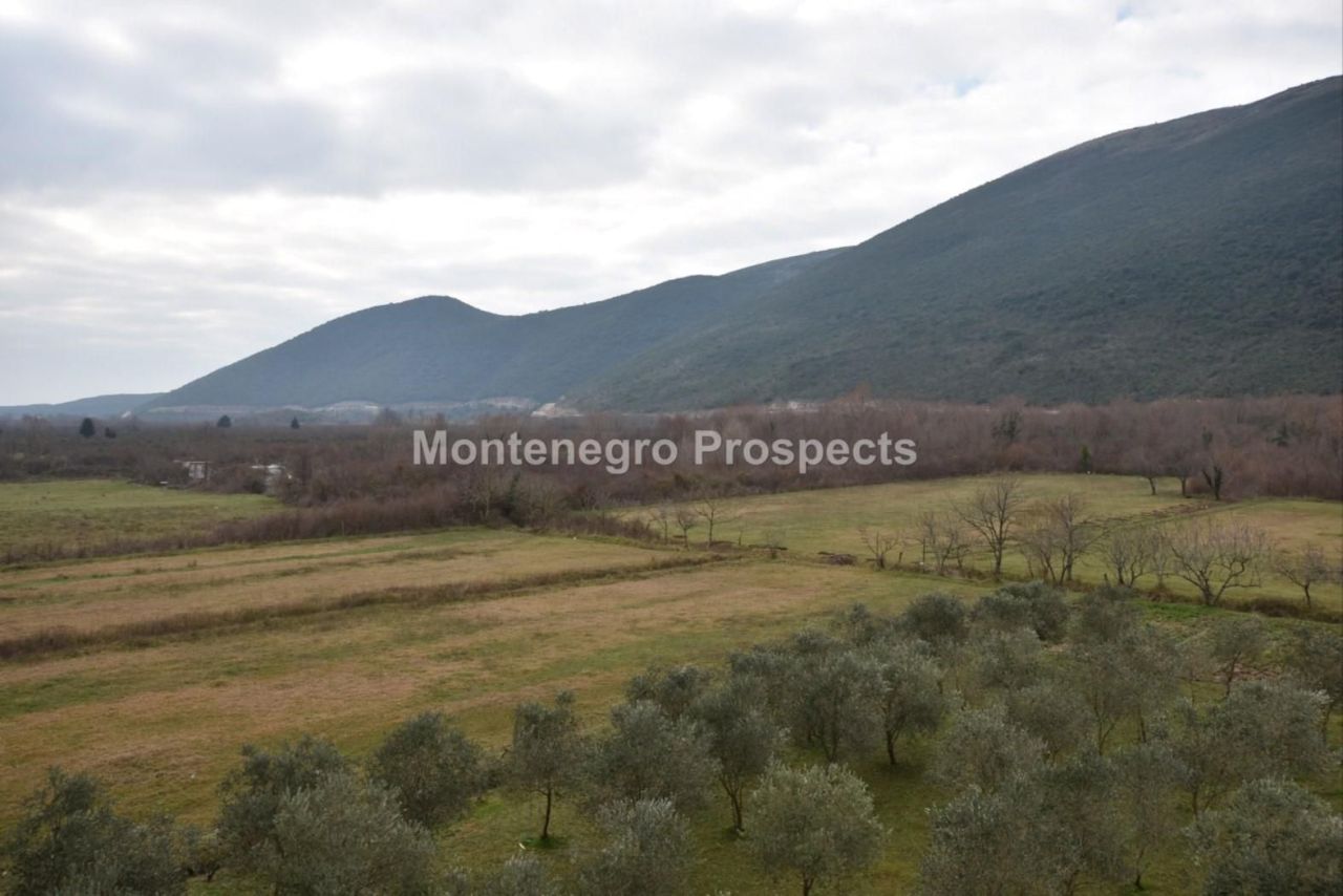 Земля в Ластве, Черногория, 7 658 м² - фото 8