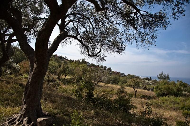 Земля в Баре, Черногория, 8 694 м² - фото 7