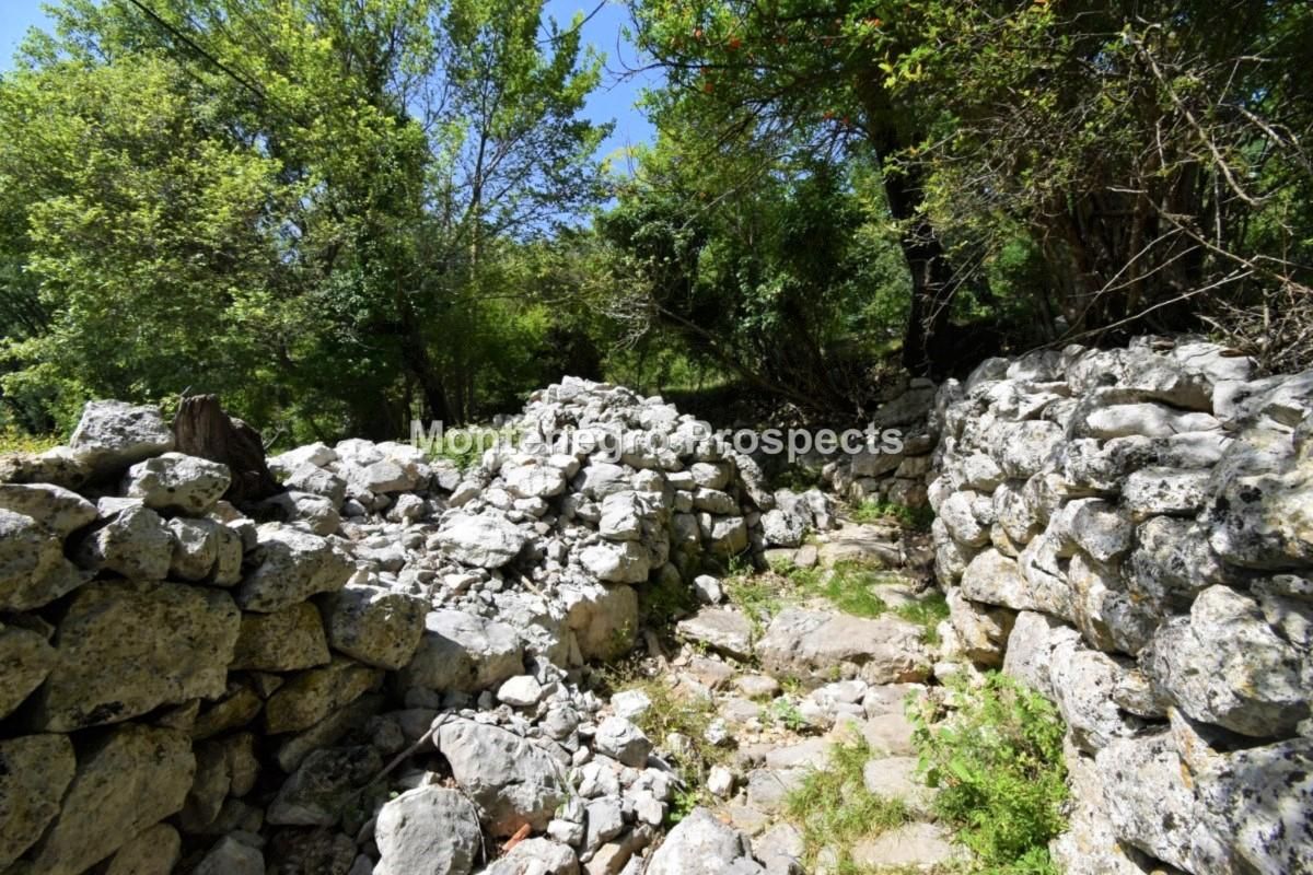 Земля в Рисане, Черногория, 5 924 м² - фото 9