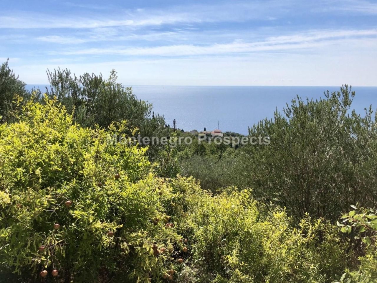 Земля в Режевичах, Черногория, 1 048 м² - фото 10