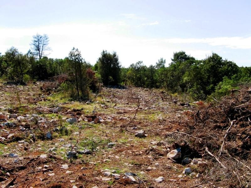 Земля на полуострове Луштица, Черногория, 3 800 м² - фото 8