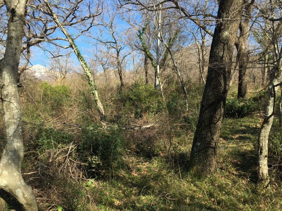 Земля в Баре, Черногория, 1 228 м² - фото 10