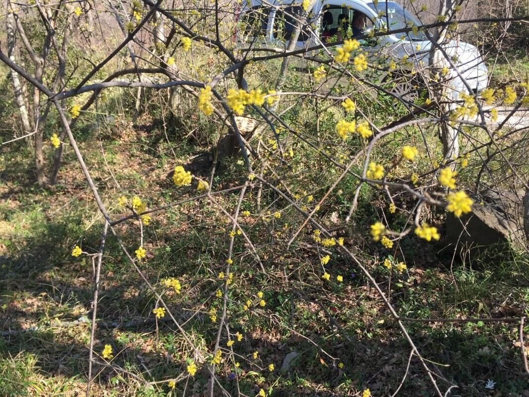 Земля в Баре, Черногория, 1 228 м² - фото 11
