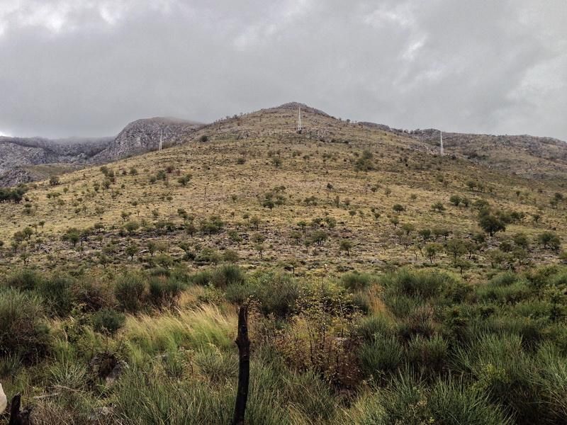 Земля в Режевичах, Черногория, 1 048 м² - фото 13